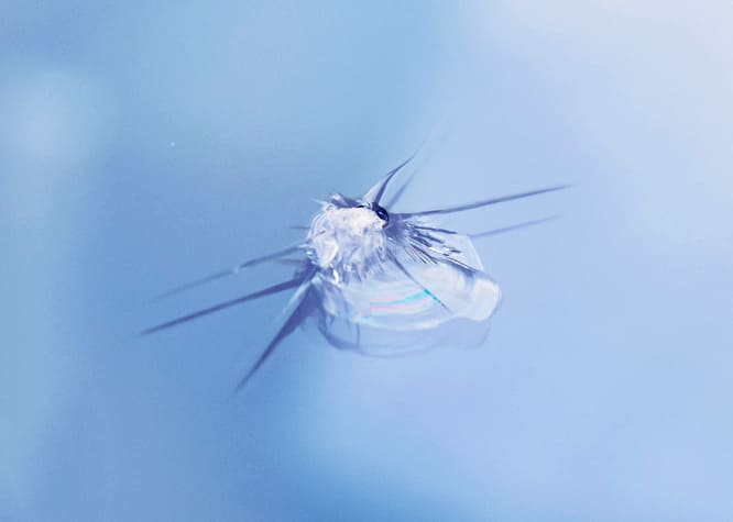 コンビネーション