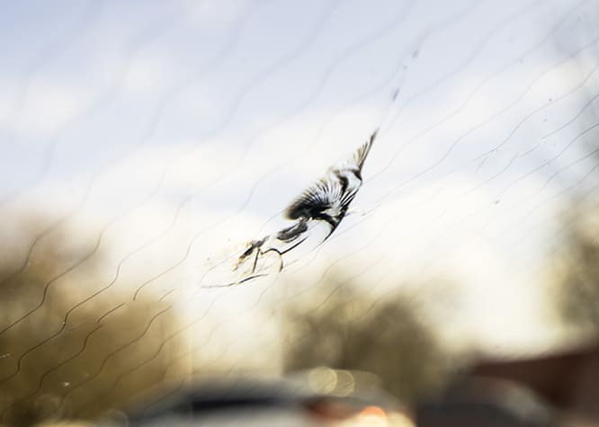 パーシャルブレイク